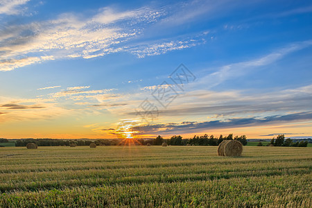 秋天的秋季赛季上场打猎小麦地平线干草蓝色粮食场地天空收成稻草收获图片
