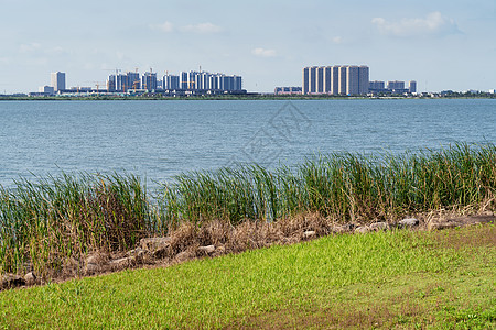 湖面对面的城市 笑声风景蓝色建筑物草地叶子环境途径旅行支撑游客图片