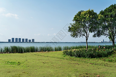 湖面对面的城市 笑声植物草地市中心途径花园游客天空旅行景观蓝色图片