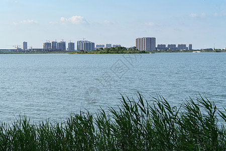 湖面对面的城市 笑声景观天空公园摩天大楼环境晴天建筑物市中心风景草地图片