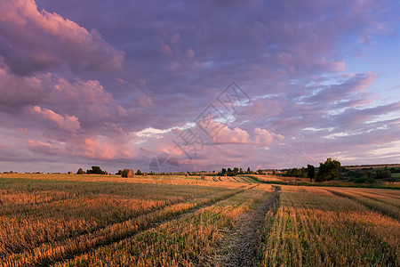 秋天的秋天 田野上黄昏与干草堆食物天空圆圈收成稻草土地干草收获农村小麦图片