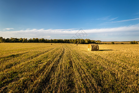 秋天的景象和田野上的干草堆 在秋天 天空阴云收获草地粮食圆圈农村日落小麦植物食物稻草图片