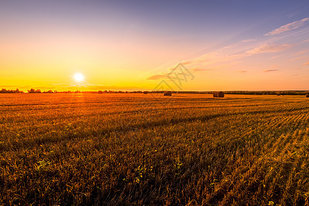 秋天的秋天和干草堆一起在田野上晒日落收获小麦圆圈农村粮食收成食物场地蓝色天空图片