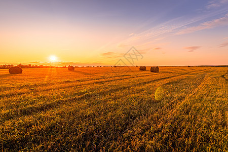 在秋天阳光明媚的夜晚 田野上的日落场景和干草堆干草粮食地平线蓝色天空农场食物农村农业小麦图片