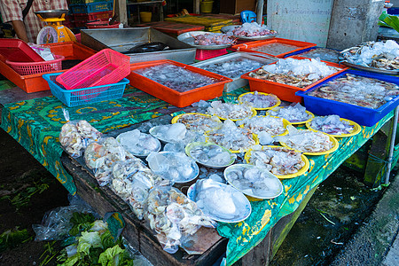鱼市柜台的新鲜海鲜 在海洋边的鱼市上饮食牡蛎摊位食物渔夫乌贼旅行商业街道零售图片