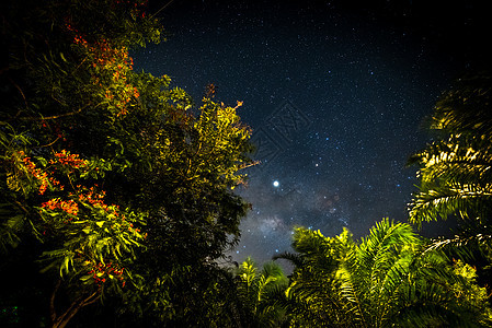 拉恰布里省夜空中的星系和银河系场景星云宇宙场地森林蓝色科学黑色天文学乳白色图片