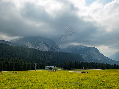 Ehrwald附近位于的Hike假期草地季节高山风景远足全景跑步地块外表图片