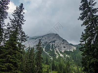 Ehrwald附近位于的Hike季节地块长椅农村顶峰远足风景全景蓝色草地图片