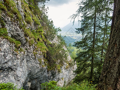 Ehrwald附近位于的Hike风景跑步森林农村远足天堂顶峰娱乐盘子高山图片