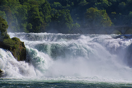在沙夫豪森的莱茵瀑布旅行地标流动旅游自然绿色白色岩石吸引力观光图片