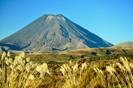 新西兰汤加里罗国家公园的火山 的对称锥体 这是汤加里罗火山群中最大 最活跃的火山 是太平洋火环的一部分风景假期观光公园旅游吸引力背景图片