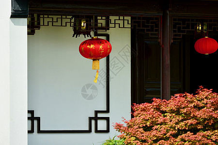 中国新年装饰品 包括红色和幸运的图象以摆脱厄运假期问候语传统节日月球文化季节艺术财富幸福图片