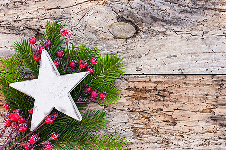 圣诞之星 配有Fir树枝和红浆果装饰品图片
