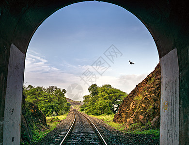 鸟儿通过铁轨的拱形铁路隧道拍到的画面高清图片