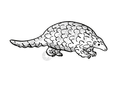 濒危野生生物卡通单线绘图(Pangolin或)图片