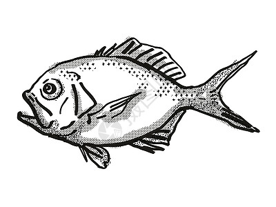 黄眼红鱼 澳大利亚鱼类漫画回溯性绘图图片