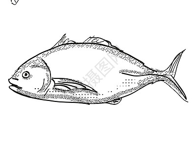 新西兰鱼类卡通回溯光图的绘制半色阴影手绘插图影线绘画黑与白海洋生物白色画线图片