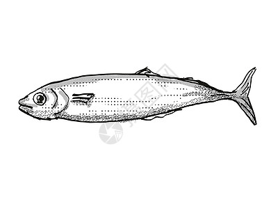 Koheru 新西兰鱼装饰回溯性绘图图片