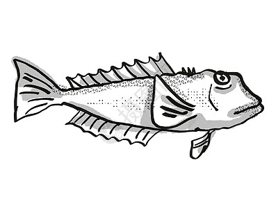 蓝鳕 新西兰鱼类装饰画回溯性绘图草图艺术品黑与白卡通片画线调点鳕鱼半色绘画手绘图片