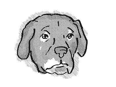 阿法多或阿富汗实验室狗培养卡通回声绘图图片