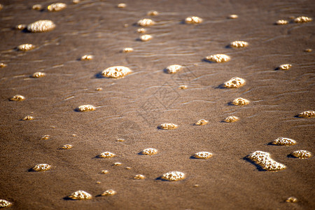 沙上冲浪的泡沫泡泡海滩白色棕色晴天墙纸气泡海洋背景图片
