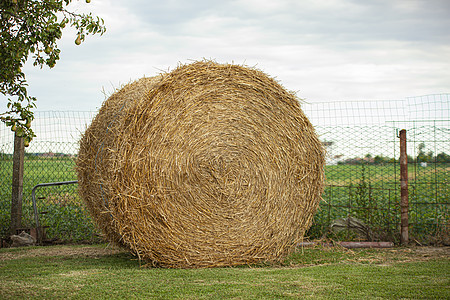 Hay Bale 细节图片