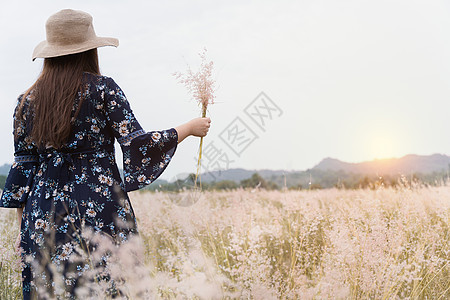 日光下草地上年轻时装女郎的夏季肖像季节潮人日落青少年场地公园森林女孩头发女士图片