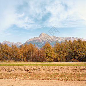 斯洛伐克利普托夫地区典型秋季风景的克里万山峰斯洛伐克标志 秋色树木模糊 前景干燥图片