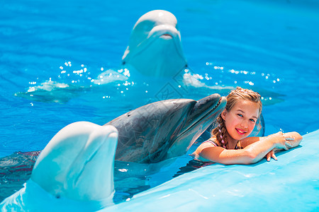 快乐的小女孩与海豚在海豚馆游泳喜悦荒野童年海洋微笑女孩动物乐趣孩子蓝色图片
