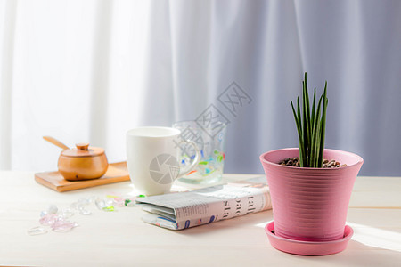 咖啡杯 玻璃片 报纸和放在窗户桌上的粉红锅里灌封办公室木头杯子咖啡咖啡店房间早餐阳光植物学图片