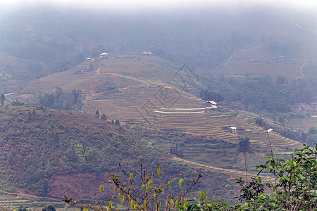 萨帕河谷地貌景观 田间稻田食物热带植物地标农场环境草地阳台曲线农村图片