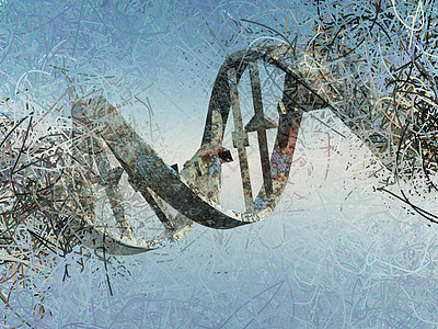 被损坏的DNA链科学生活变种人绘画漩涡核酸染色体螺旋基因技术图片