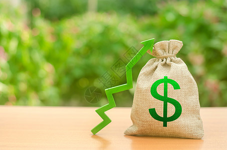 与美元符号和绿色向上箭头的钱袋子 增加利润和财富 工资的增长 有利的商业条件 招商引资 贷款和补贴 有利条件背景图片