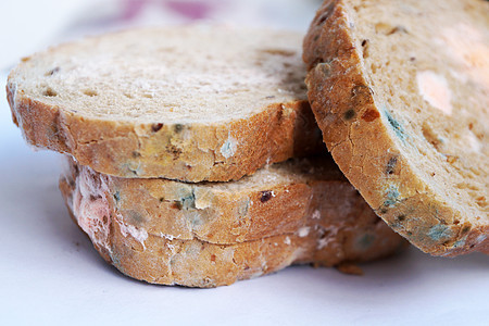 蓝色和粉红色的模子 放在面包上 紧闭孢子霉菌腐烂面粉微生物模具菌类小麦宏观绿色图片