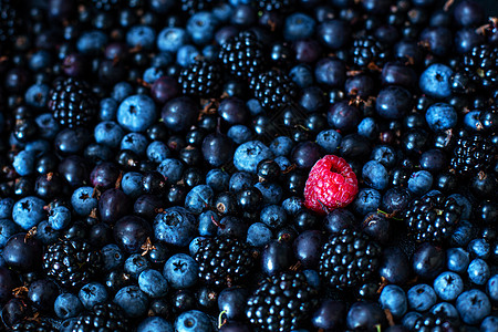 唯一性概念 不像其他人 桑葚黑莓和蓝莓混合堆中的红树莓覆盆子饮食蓝色植物水果团体宏观食物收成花园图片