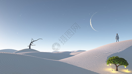 真实的白色沙漠太阳月亮天空灯泡思考困扰概念梦幻男人孤独图片