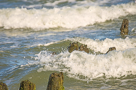 波罗的海 有Royens和冲浪蓝色假期荒野堤防液压历史性邮政码头天气草皮图片