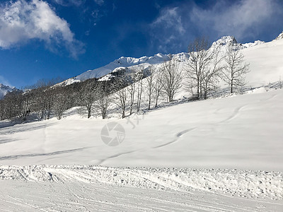 冬季阿尔卑斯山房子雪堆顶峰风景季节小木屋森林旅行晴天娱乐图片