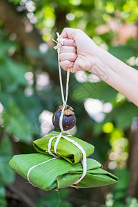 由绿香蕉叶和自然绳 生态合金组成的一揽子方案绳索食物叶子紧张包装绿色桌子条纹回收图片