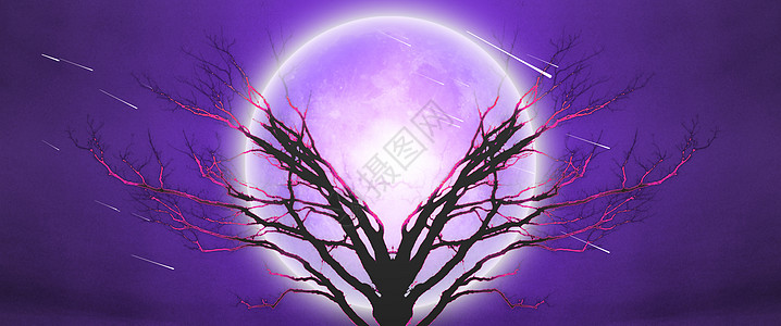 生命树天空世界地球魔法精神紫色辉光宇宙场景生活图片