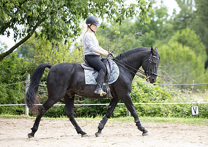 骑马的女童和女童动物骑士训练骑术闲暇舞步运动女孩头盔黑色背景图片