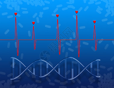 心跳心脏图生活电脑基因组脉冲保健药品药物韵律螺旋基因图片