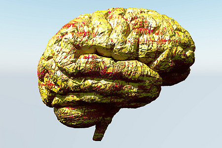 人脑创造力想像力学习解剖学半球天才粉色心理学小脑黑色图片