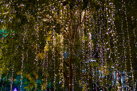夜里在花园的树上亮着灯光u派对庆典黄色假期红色细绳节日图片