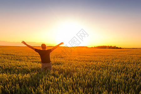 一个人在日落或黎明时 手举起来 在黑麦田国家喜悦射线胜利享受光束阳光地平线谷物日出图片