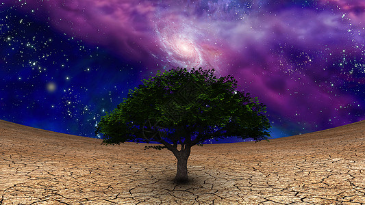 生命树植物紫色戒指星系戏剧性地面叶子天空气候恒星图片