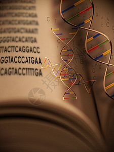 DNA书图片
