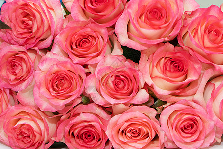 粉红白玫瑰的鲜花花束周年庆典植物群假期展示礼物花园生日花店纪念日图片
