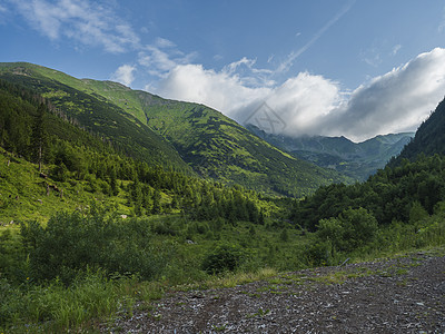 美丽的山景 有郁郁葱葱的绿草 云杉树 矮小的灌木松和秃顶的山峰 西塔特拉山 Rohace 斯洛伐克 夏日阳光明媚的日子 蓝天背景图片