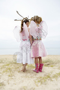 两个身着仙女翅膀和羽毛的女孩 站在海滩后视线上图片